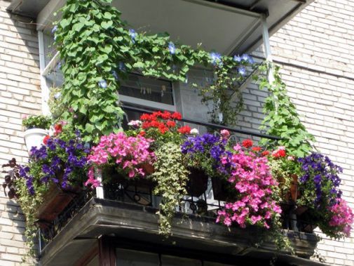 Готовь свой балкон летом!
